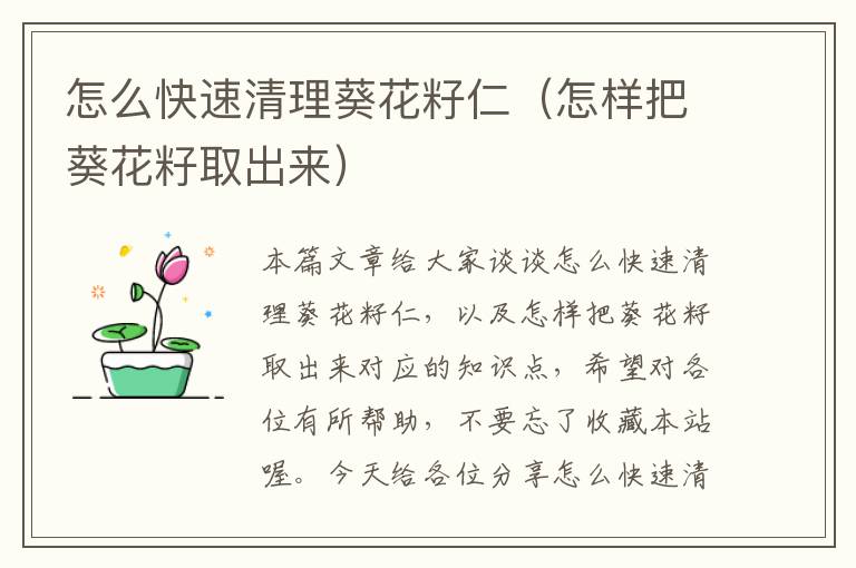 怎么快速清理葵花籽仁（怎样把葵花籽取出来）