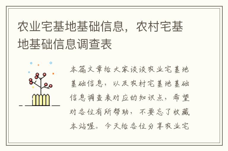 农业宅基地基础信息，农村宅基地基础信息调查表