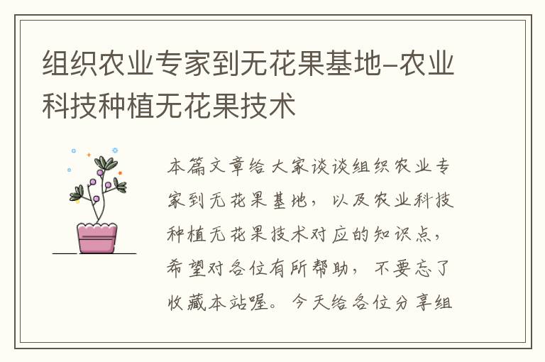 组织农业专家到无花果基地-农业科技种植无花果技术