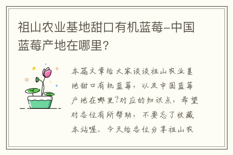 祖山农业基地甜口有机蓝莓-中国蓝莓产地在哪里?