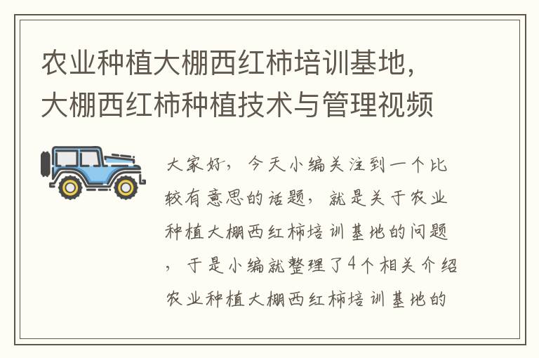 农业种植大棚西红柿培训基地，大棚西红柿种植技术与管理视频教程1