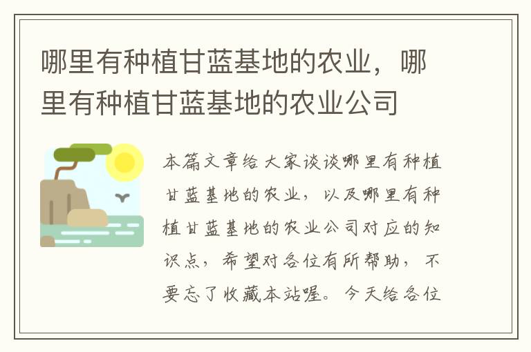 哪里有种植甘蓝基地的农业，哪里有种植甘蓝基地的农业公司