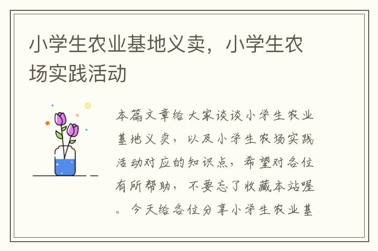 小学生农业基地义卖，小学生农场实践活动