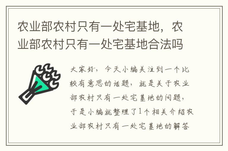 农业部农村只有一处宅基地，农业部农村只有一处宅基地合法吗