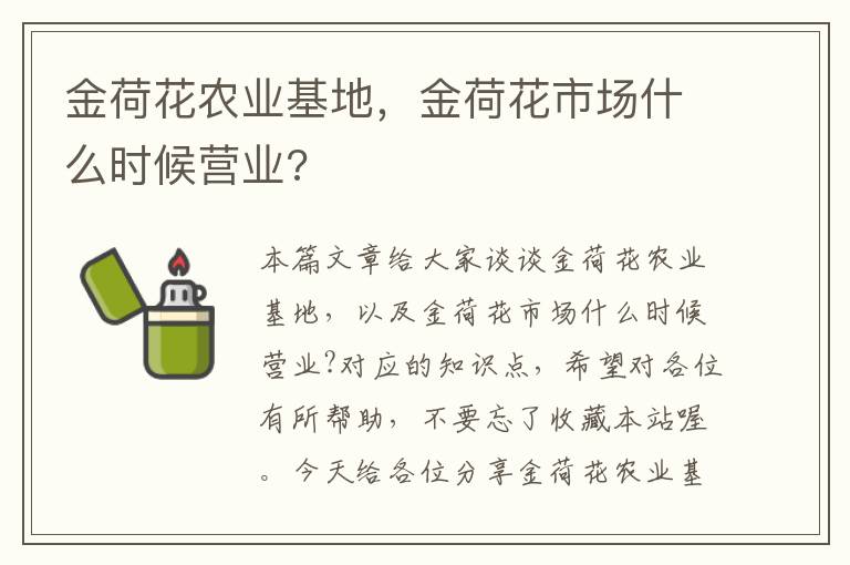 金荷花农业基地，金荷花市场什么时候营业?