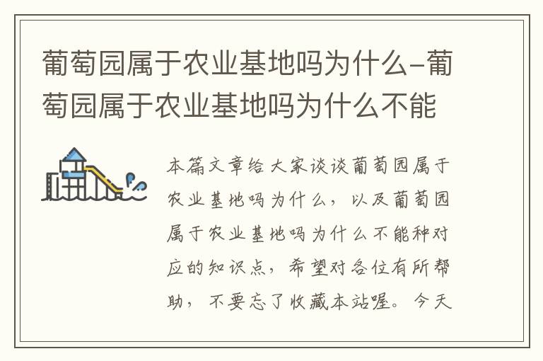 葡萄园属于农业基地吗为什么-葡萄园属于农业基地吗为什么不能种