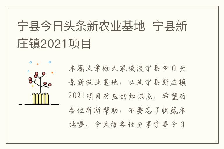 宁县今日头条新农业基地-宁县新庄镇2021项目