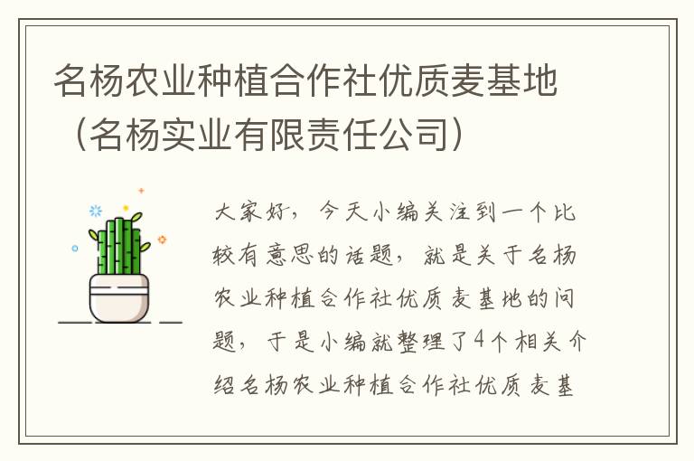 名杨农业种植合作社优质麦基地（名杨实业有限责任公司）