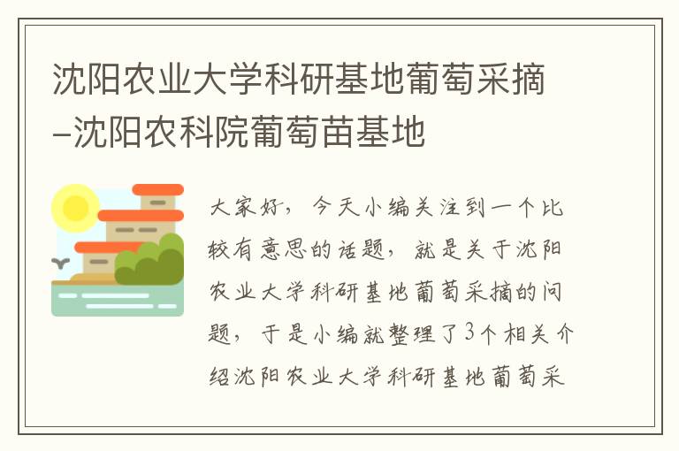 沈阳农业大学科研基地葡萄采摘-沈阳农科院葡萄苗基地