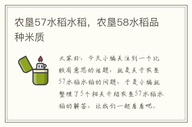 农垦57水稻水稻，农垦58水稻品种米质