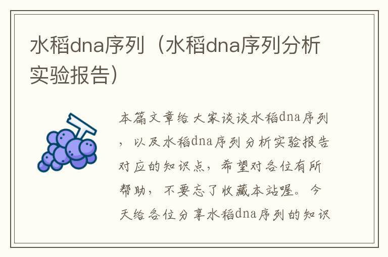 水稻dna序列（水稻dna序列分析实验报告）