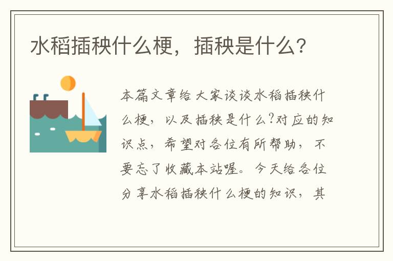 水稻插秧什么梗，插秧是什么?