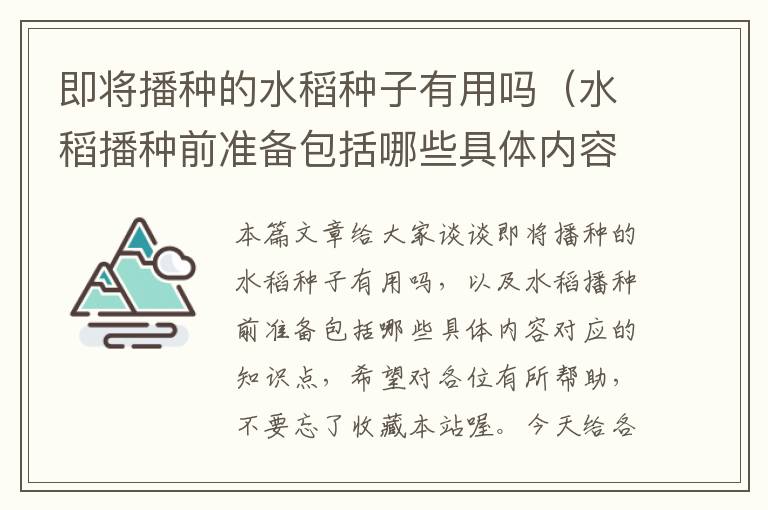 即将播种的水稻种子有用吗（水稻播种前准备包括哪些具体内容）