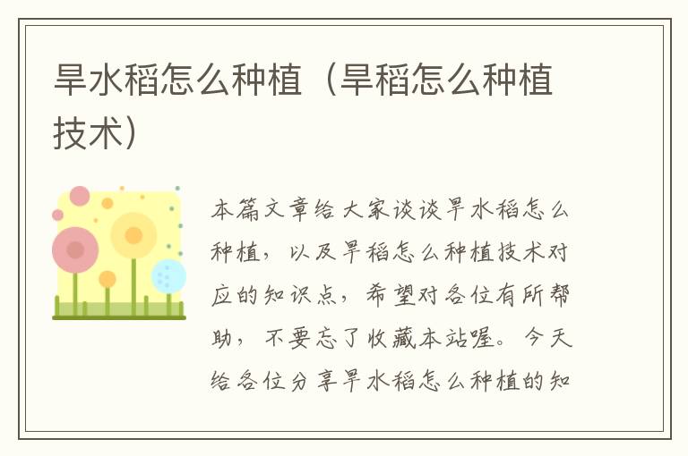 旱水稻怎么种植（旱稻怎么种植技术）