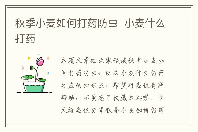 秋季小麦如何打药防虫-小麦什么打药