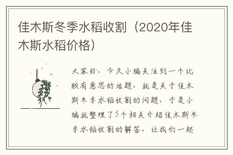 佳木斯冬季水稻收割（2020年佳木斯水稻价格）