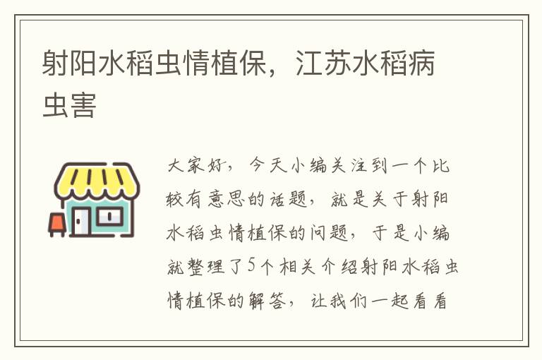 射阳水稻虫情植保，江苏水稻病虫害