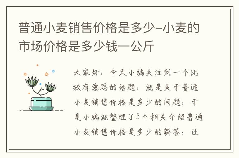 普通小麦销售价格是多少-小麦的市场价格是多少钱一公斤