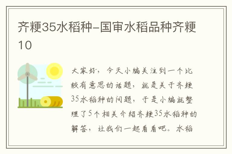 齐粳35水稻种-国审水稻品种齐粳10