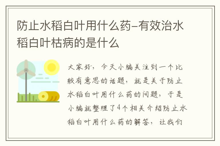 防止水稻白叶用什么药-有效治水稻白叶枯病的是什么