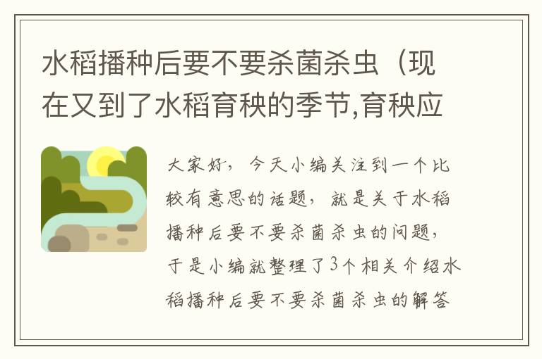 水稻播种后要不要杀菌杀虫（现在又到了水稻育秧的季节,育秧应注意哪些问题?）