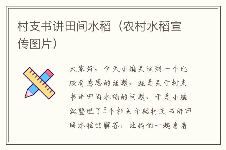 村支书讲田间水稻（农村水稻宣传图片）