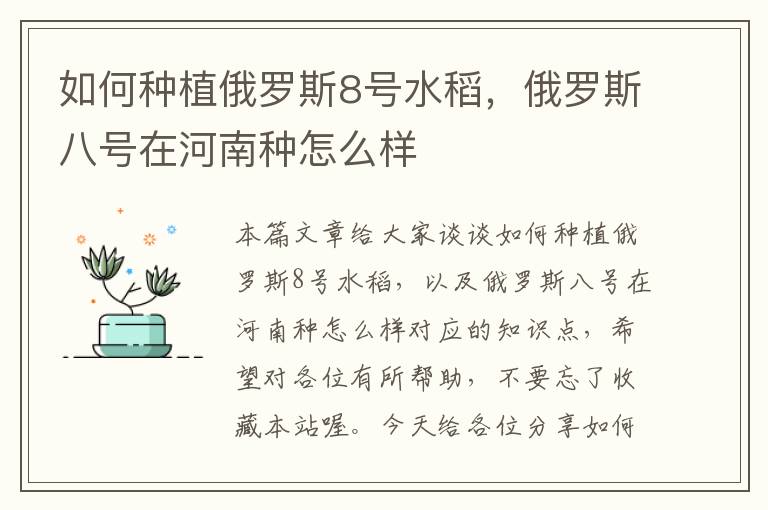 如何种植俄罗斯8号水稻，俄罗斯八号在河南种怎么样