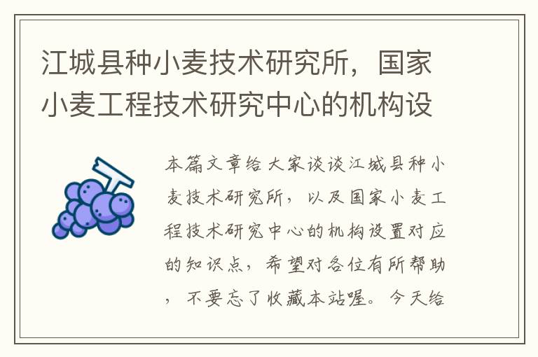 江城县种小麦技术研究所，国家小麦工程技术研究中心的机构设置