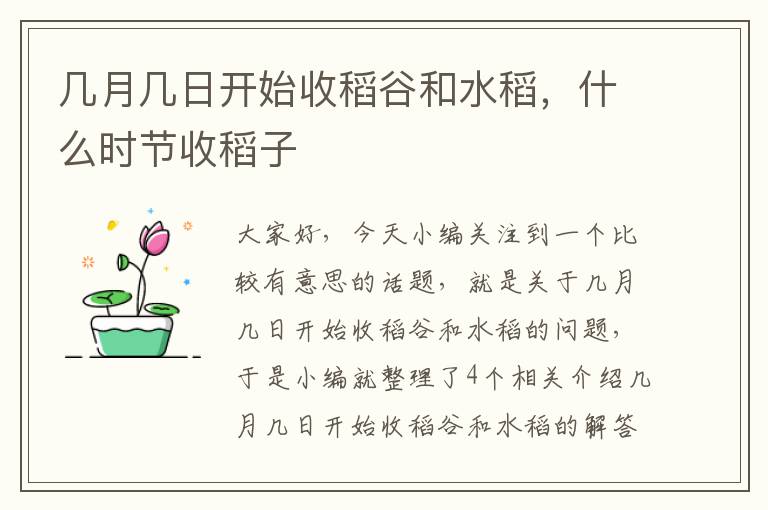 几月几日开始收稻谷和水稻，什么时节收稻子