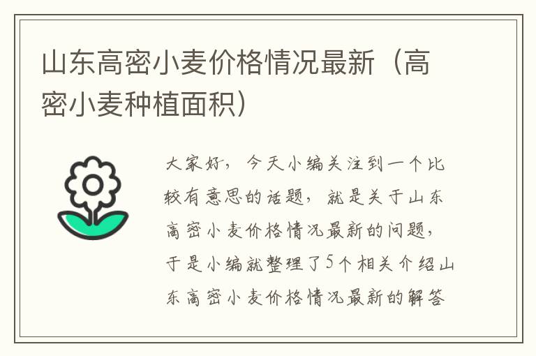 山东高密小麦价格情况最新（高密小麦种植面积）