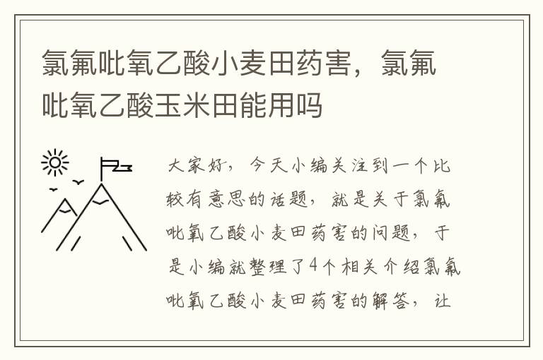 氯氟吡氧乙酸小麦田药害，氯氟吡氧乙酸玉米田能用吗