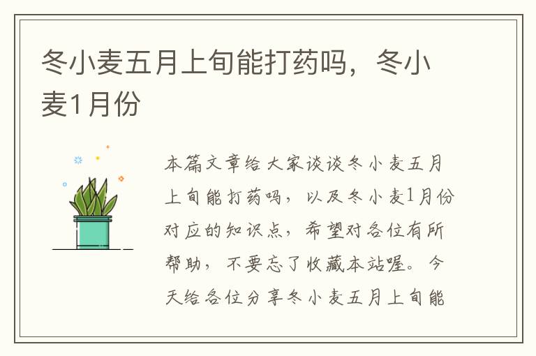 冬小麦五月上旬能打药吗，冬小麦1月份