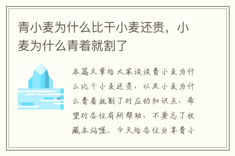 青小麦为什么比干小麦还贵，小麦为什么青着就割了