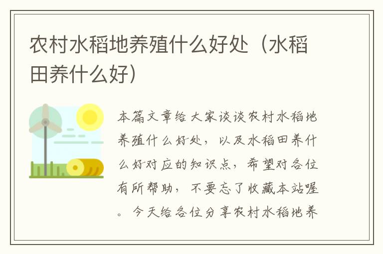 农村水稻地养殖什么好处（水稻田养什么好）