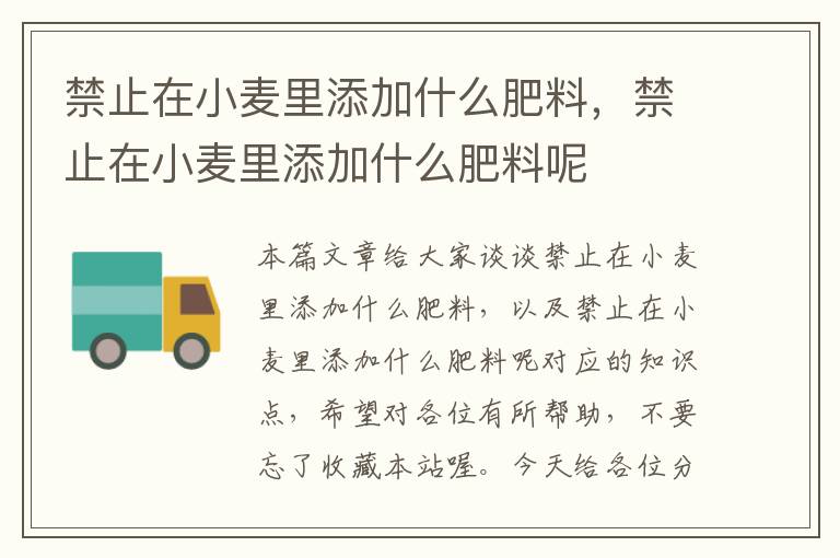 禁止在小麦里添加什么肥料，禁止在小麦里添加什么肥料呢