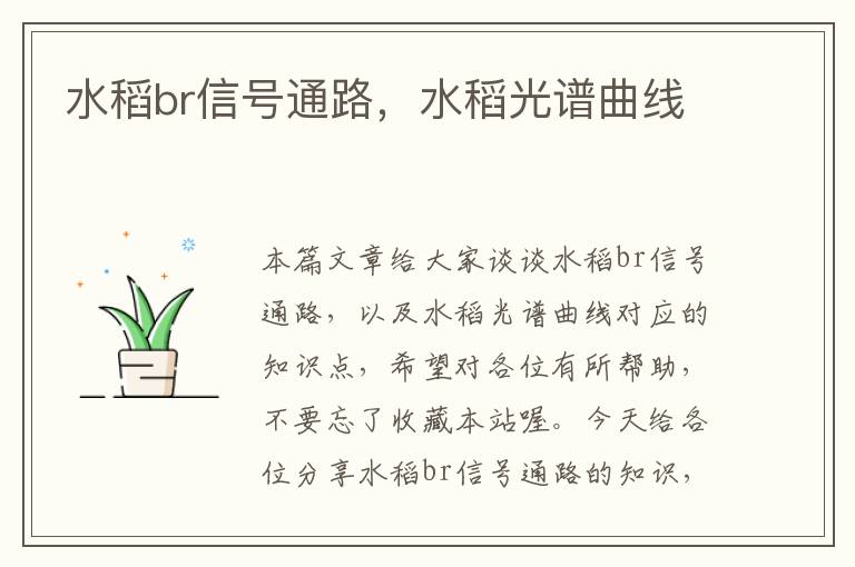 水稻br信号通路，水稻光谱曲线