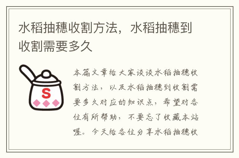 水稻抽穗收割方法，水稻抽穗到收割需要多久