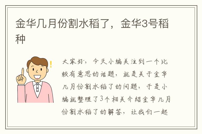 金华几月份割水稻了，金华3号稻种