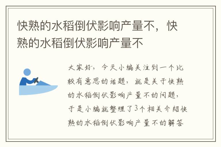 快熟的水稻倒伏影响产量不，快熟的水稻倒伏影响产量不