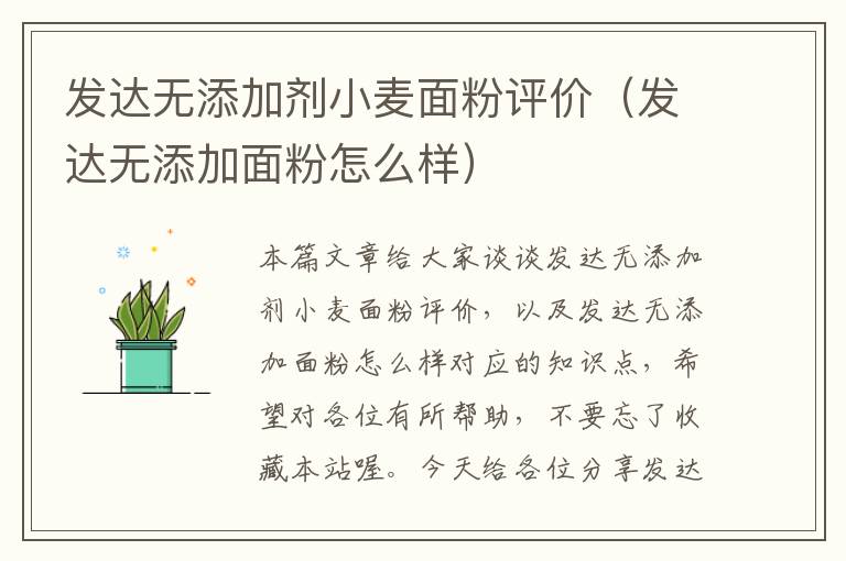 发达无添加剂小麦面粉评价（发达无添加面粉怎么样）