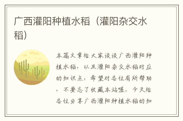 广西灌阳种植水稻（灌阳杂交水稻）