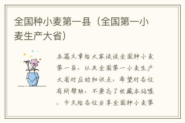 全国种小麦第一县（全国第一小麦生产大省）