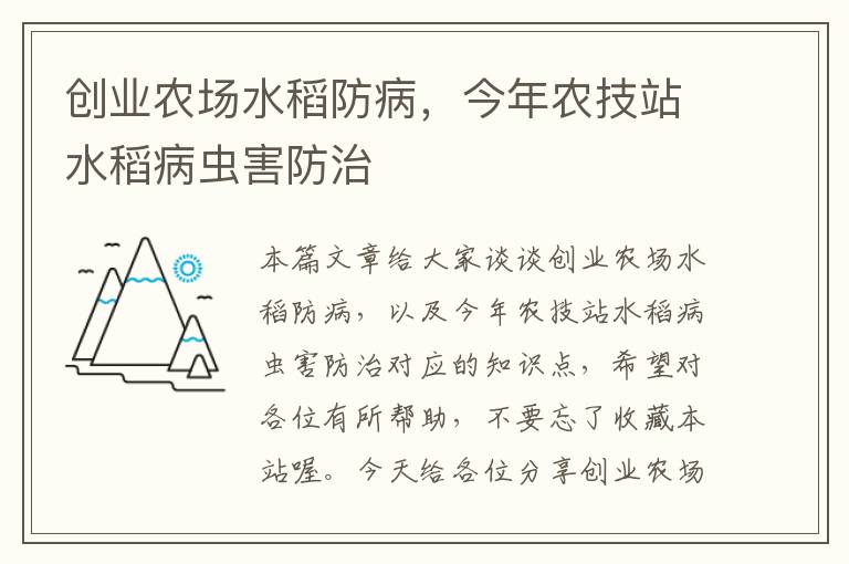 创业农场水稻防病，今年农技站水稻病虫害防治