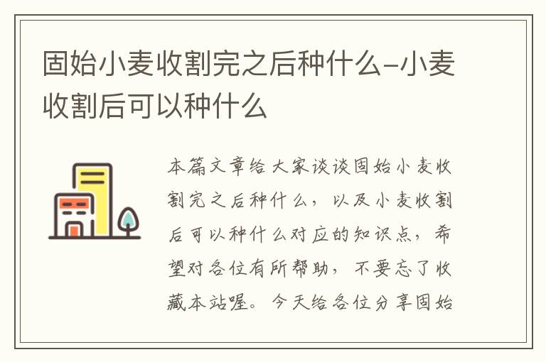 固始小麦收割完之后种什么-小麦收割后可以种什么