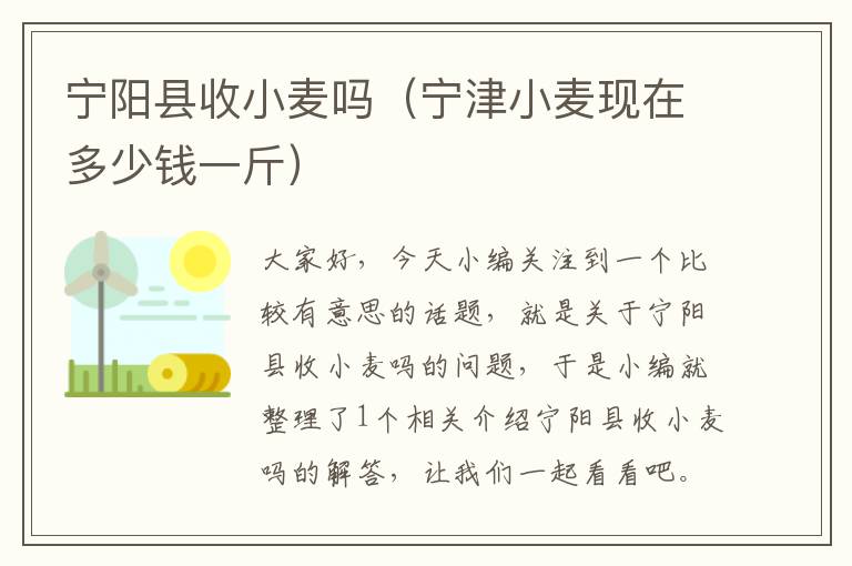 宁阳县收小麦吗（宁津小麦现在多少钱一斤）