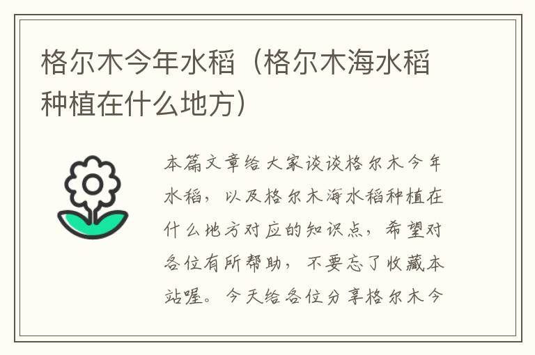 格尔木今年水稻（格尔木海水稻种植在什么地方）