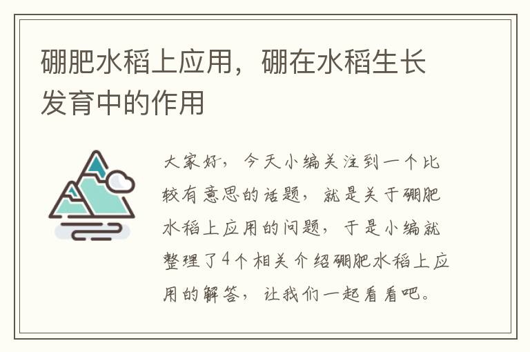 硼肥水稻上应用，硼在水稻生长发育中的作用