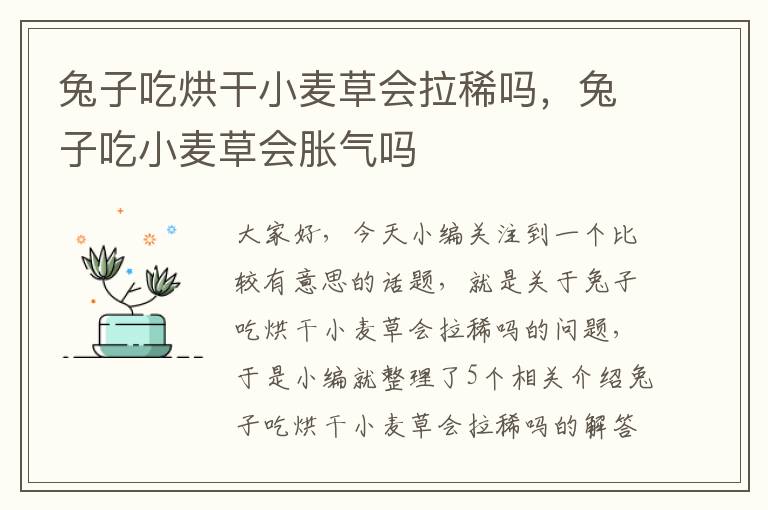 兔子吃烘干小麦草会拉稀吗，兔子吃小麦草会胀气吗