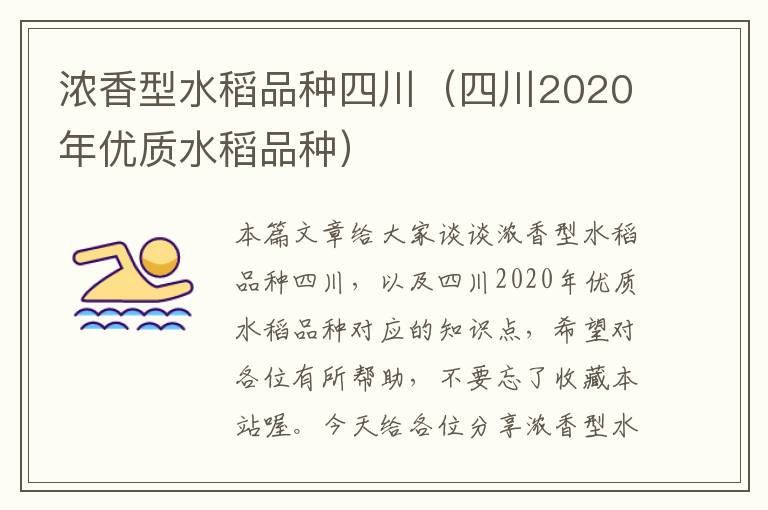 浓香型水稻品种四川（四川2020年优质水稻品种）