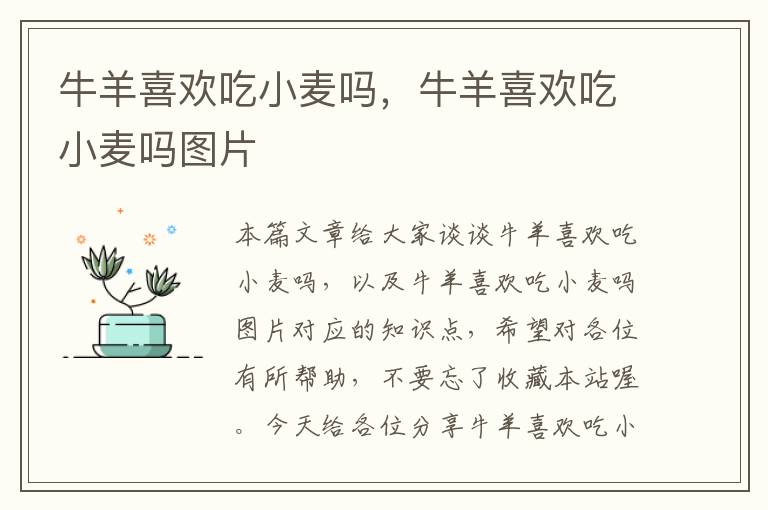 牛羊喜欢吃小麦吗，牛羊喜欢吃小麦吗图片